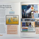 case study brochures